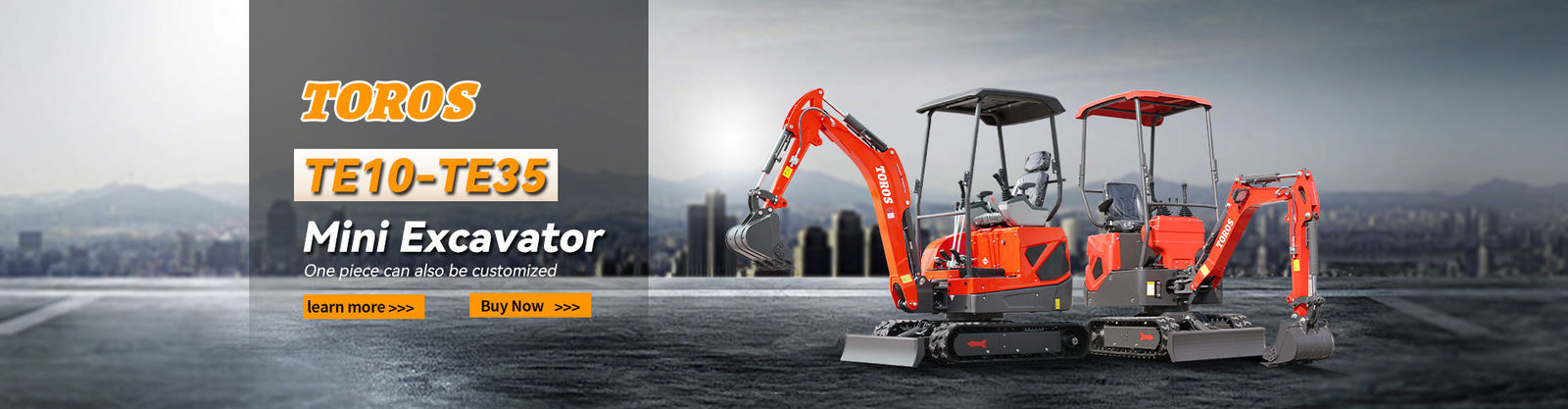 Miniexcavadora Toros